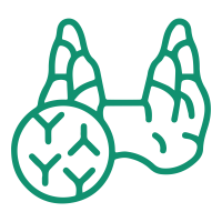 Postpartum & Autoimmune Thyroiditis-01