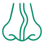 Surgery for Deviated Nasal Septum (DNS)-01