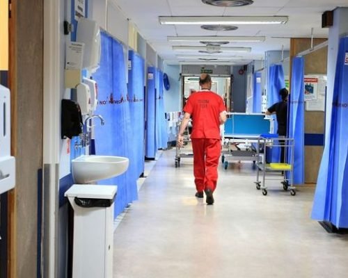 WhatsApp Image 2025-03-18 at 12.25.05 PM